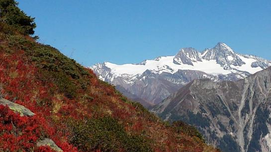 Bauernhof Oberniggler