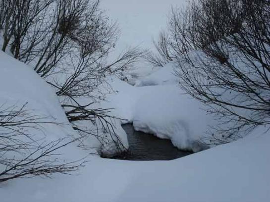 Bauernhof Oberniggler