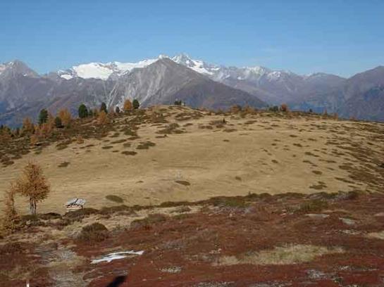 Bauernhof Oberniggler