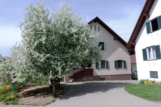 Bauernhof Poeltl