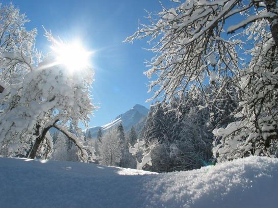 Bauernhof Vorderbaernau