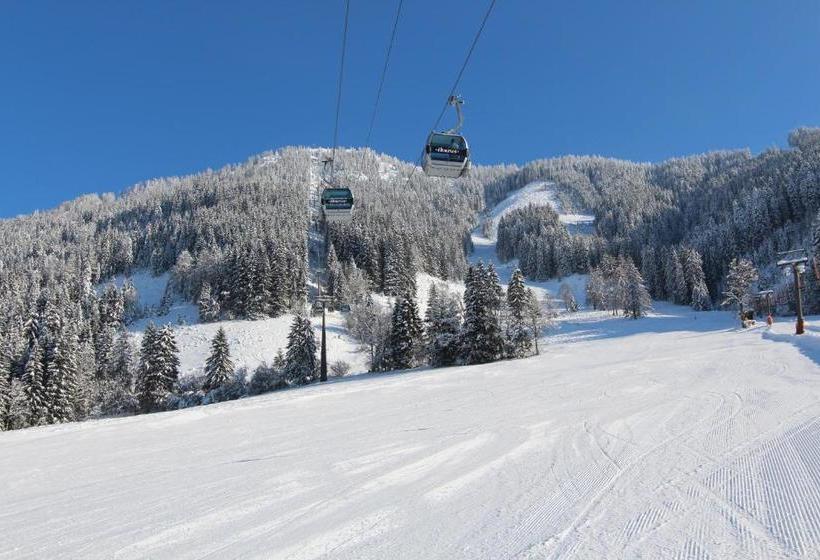 호텔 Ferien Elisabeth