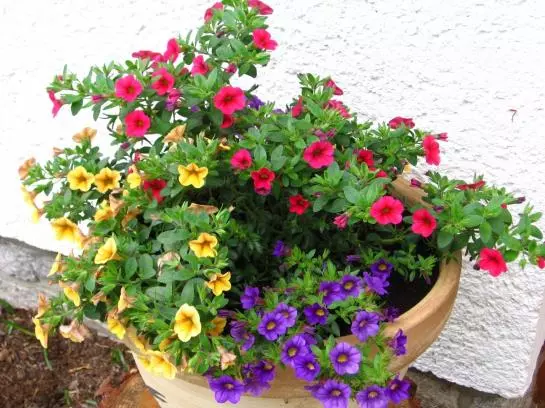 酒店 Ferienhaus Hollinger