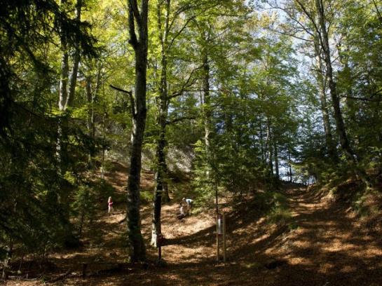 호텔 Ferienhaus Hollinger