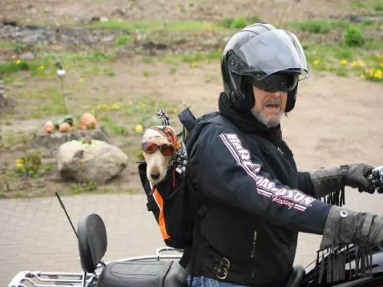 酒店 Ferienhaus Hollinger