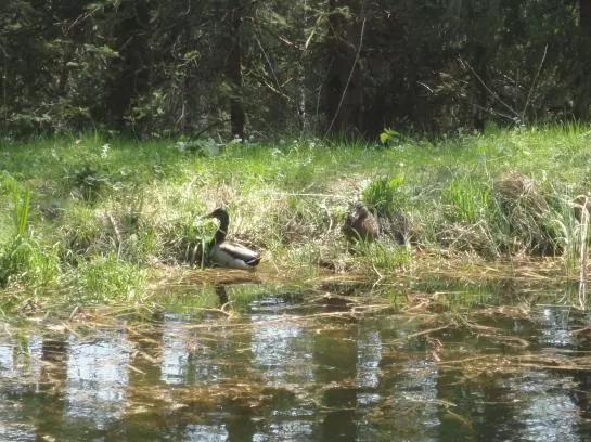 酒店 Ferienhaus Hollinger