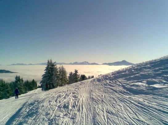 호텔 Ferienhaus Hollinger