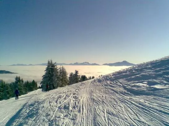 酒店 Ferienhaus Hollinger