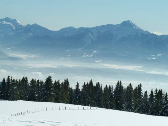 호텔 Ferienhaus Hollinger