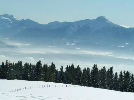 酒店 Ferienhaus Hollinger