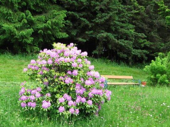 호텔 Ferienhaus Hollinger