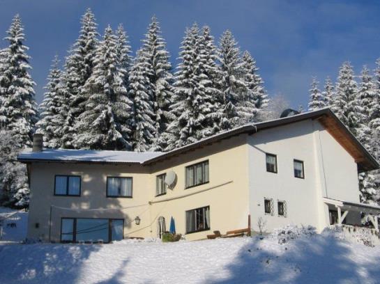 호텔 Ferienhaus Hollinger