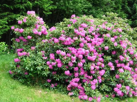 酒店 Ferienhaus Hollinger