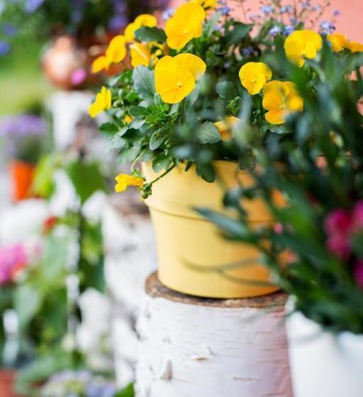 בית מלון כפרי Garni Sohler