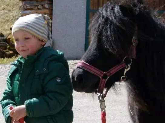 Отель Hochserner-hof