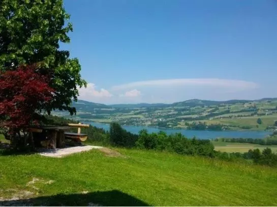 Отель Hochserner-hof