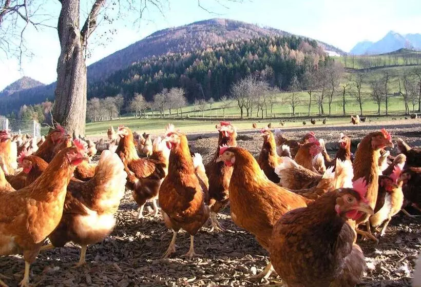 Hotelli Knirschenhof