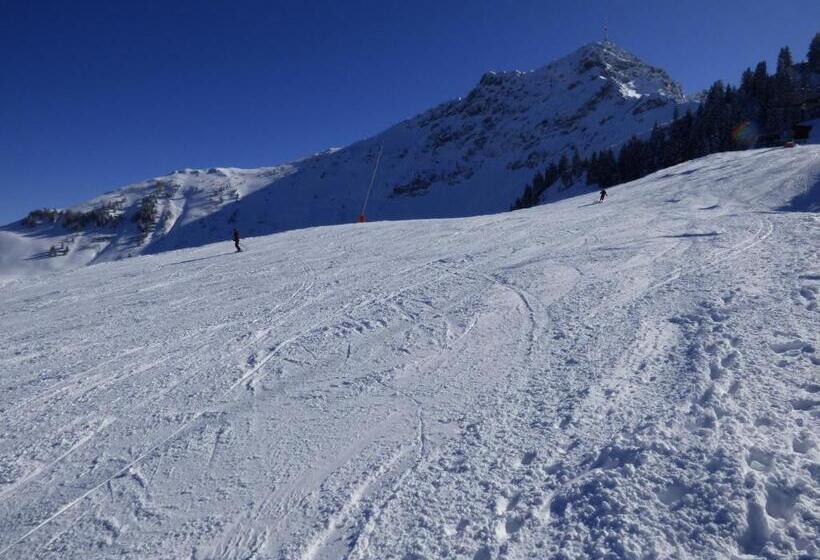 בית מלון כפרי Panorama