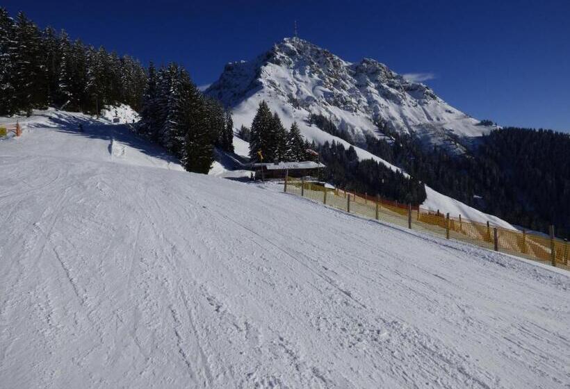 בית מלון כפרי Panorama