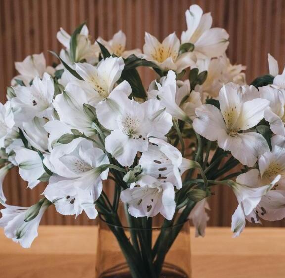 בית מלון כפרי The Crystal Vaya Unique