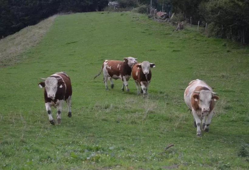 Majatalo Gasthof Alte Tanne