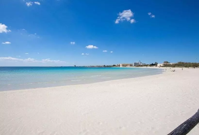 1911 B&b I Tarocchi   Camera Matrimoniale La Luna