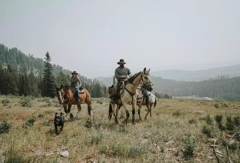 Hotelli Montage Big Sky