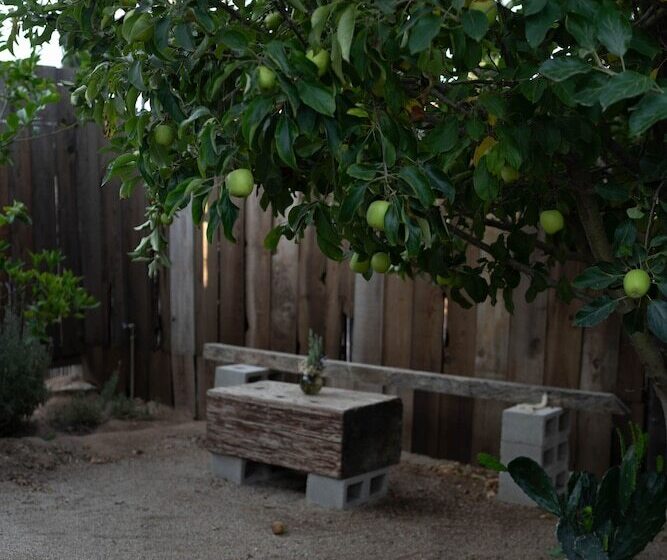 פנסיון Casa Michaus Valle De Guadalupe