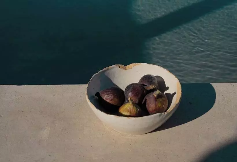 Majatalo Casa Michaus Valle De Guadalupe