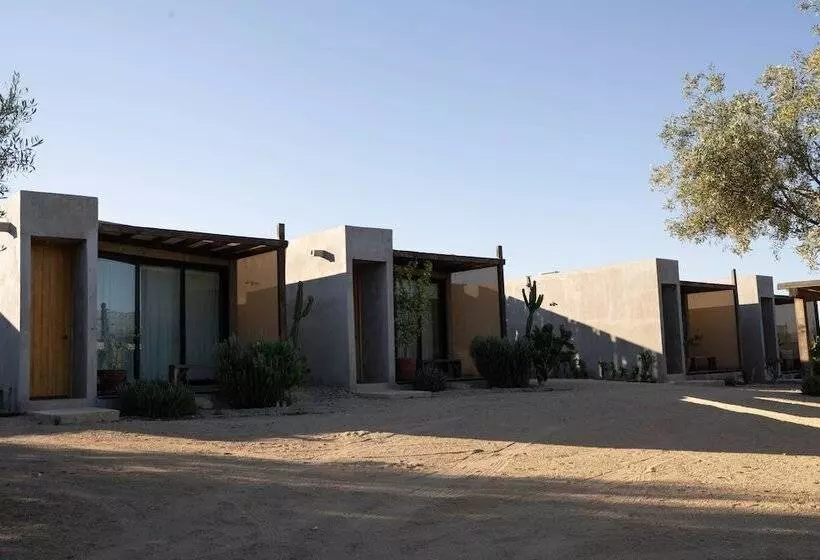 Majatalo Casa Michaus Valle De Guadalupe