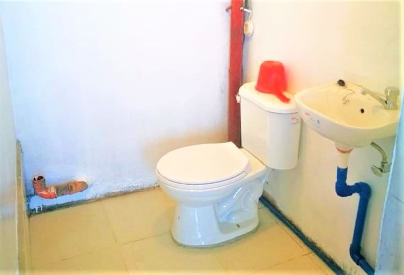 ペンション Feni Homestay