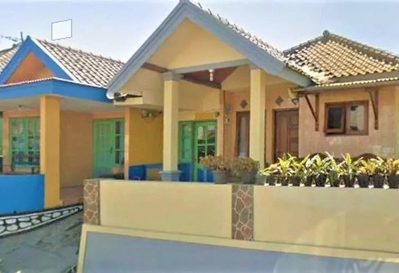 ペンション Feni Homestay