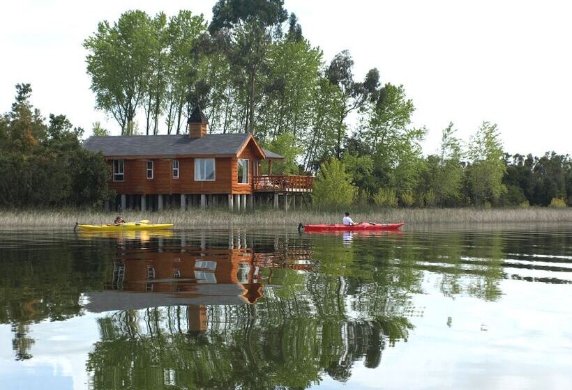 Gracias A La Vida Lodge