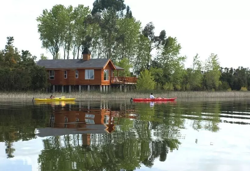 Gracias A La Vida Lodge