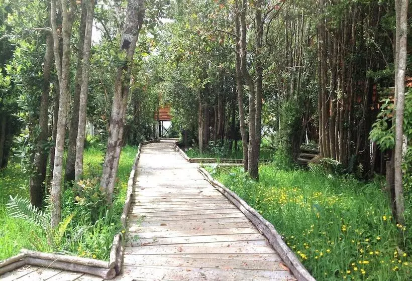 Gracias A La Vida Lodge