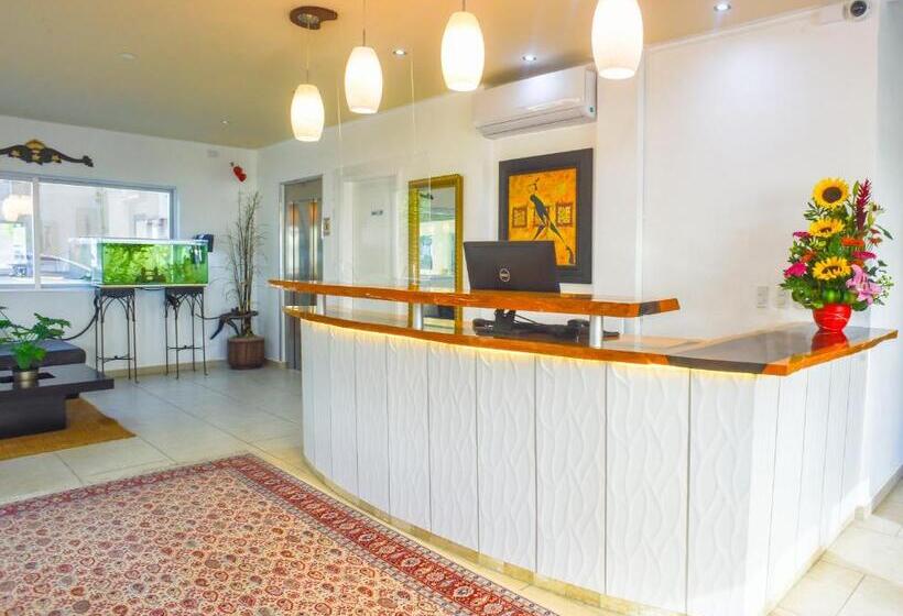 ホテル 12 Bees By Kavia