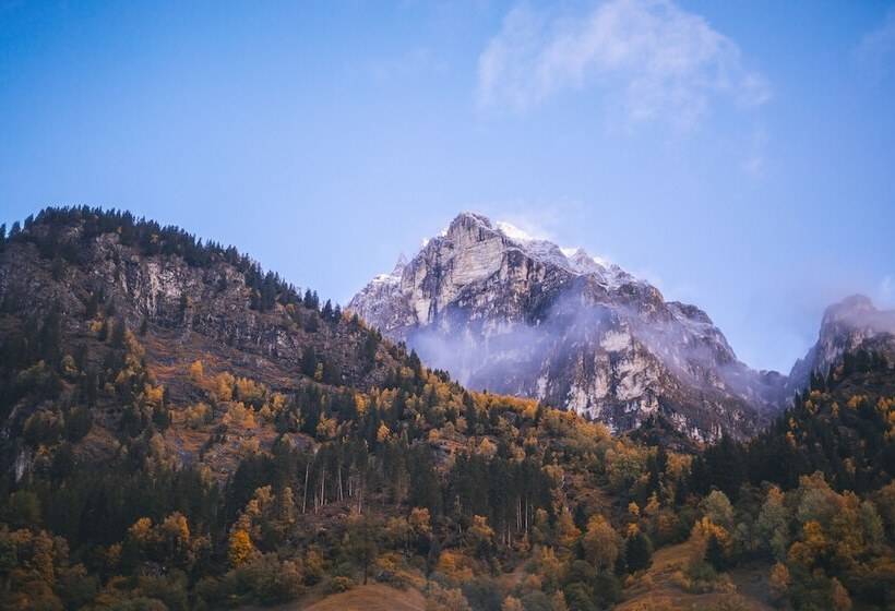 酒店 Feuerstein Nature Family Resort