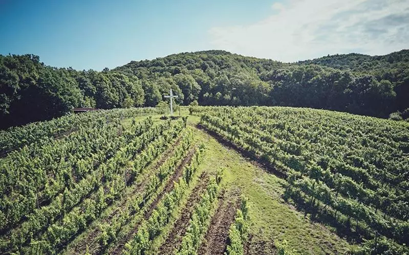 Hotelli Vinopresso Gmbh   Café Römer