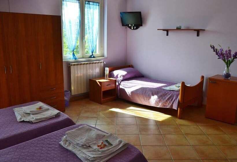 Bed and Breakfast Camera Verde   Bb S Elia