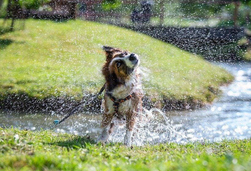 Almfrieden Hotel & Romantikchalet