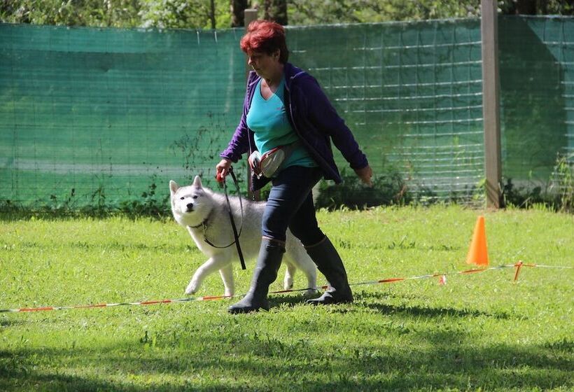 Almfrieden Hotel & Romantikchalet