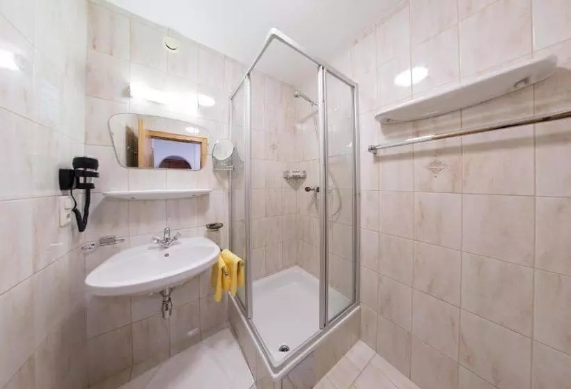 Aparthotel Alpin Life