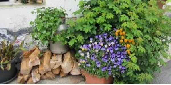 Bed and Breakfast Pleiknerhof