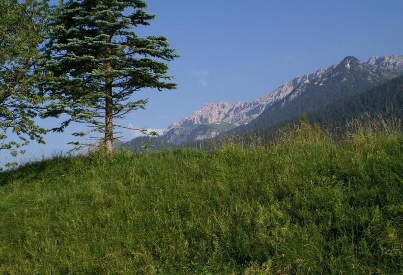 Bed and Breakfast Pleiknerhof