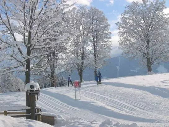Hotel Alpenbad