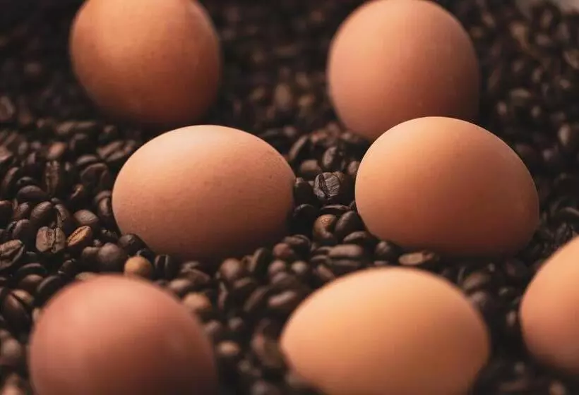 ホテル Alphof Stubaital