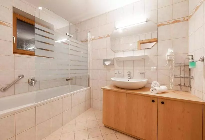 ホテル Alphof Stubaital