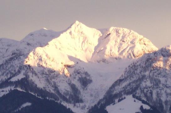 Bauernhof Elsbichlhof