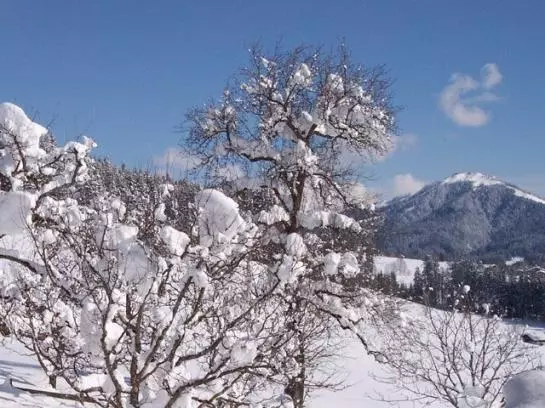 Bauernhof Elsbichlhof