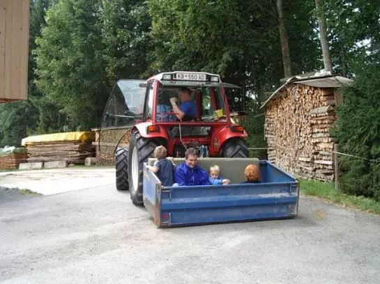 Bauernhof Elsbichlhof